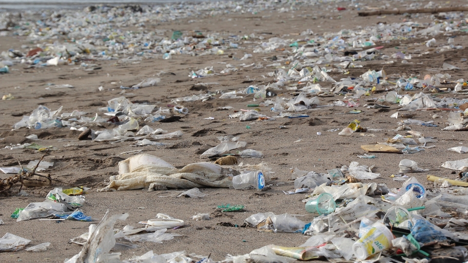 Oplossing voor plasticsoep in de zee? Texelse onderzoeker ontdekt plastic-etende schimmel