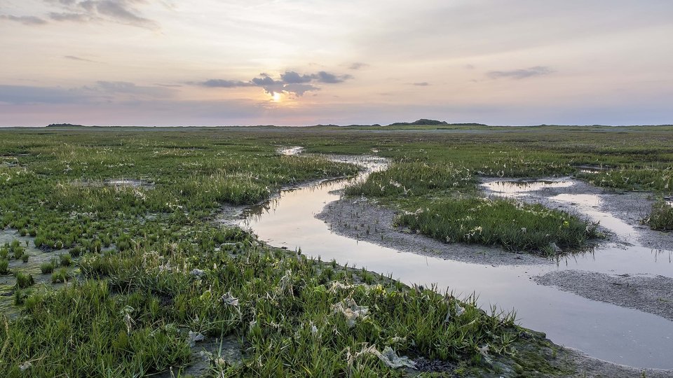 Dilemma: waar ligt zoet/zout-balans aan Noord-Nederlandse kust?